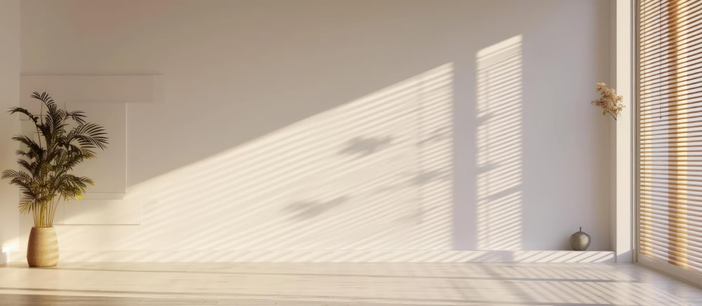 sunlight in the room